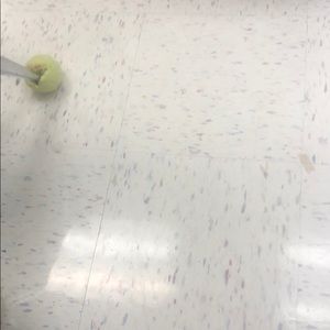 Meet your Posher, Karlie